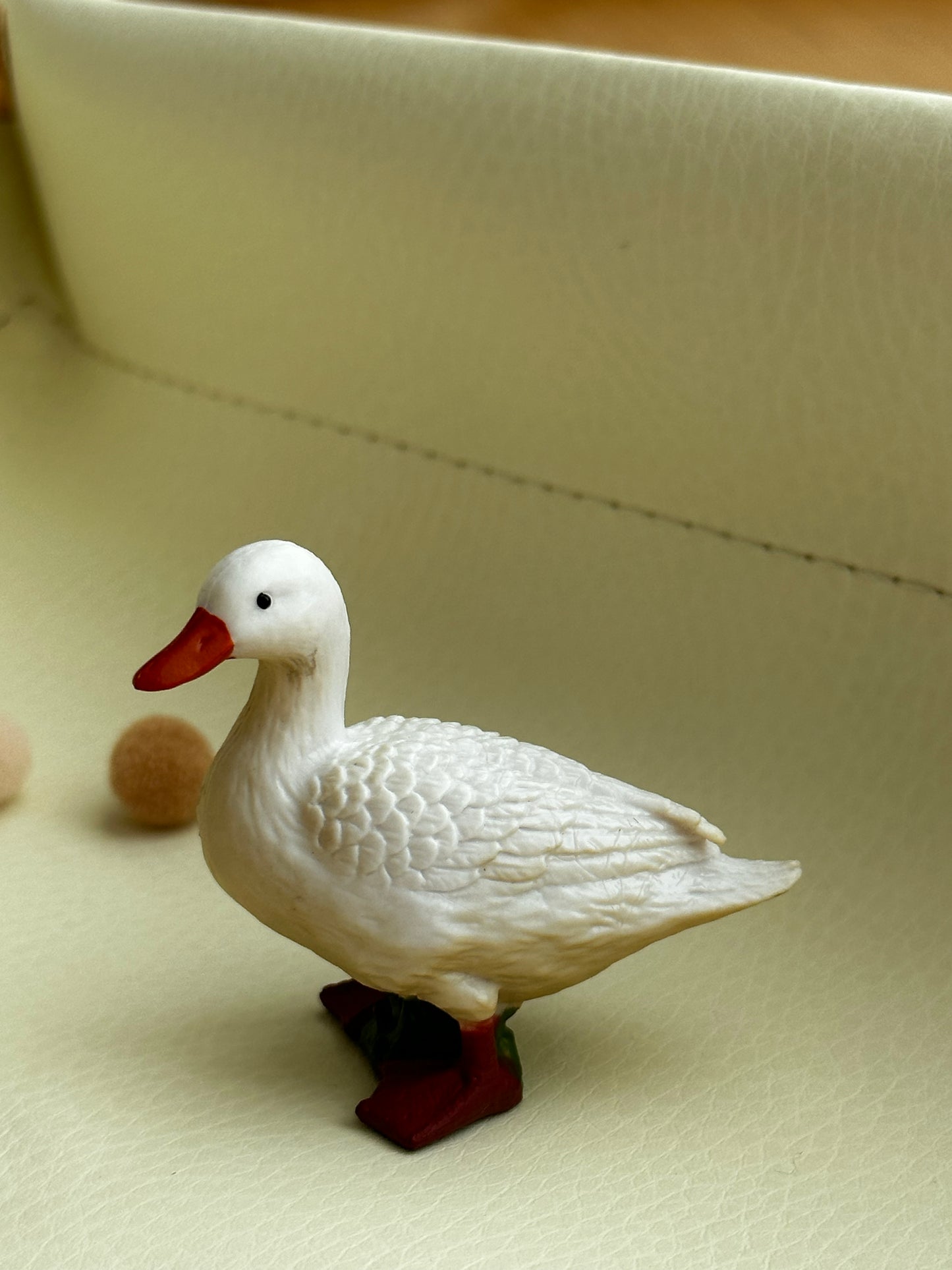 White Duck