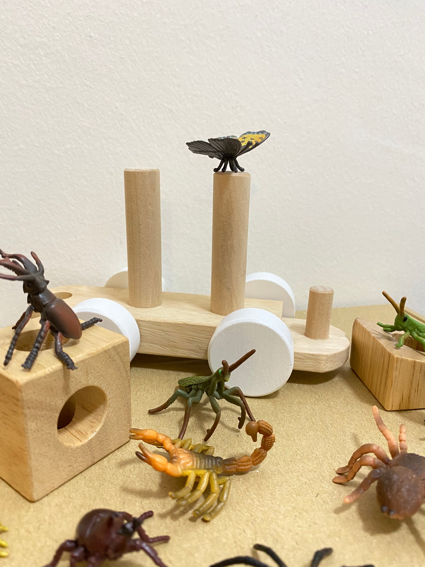 Box of Mini Insect and Spider