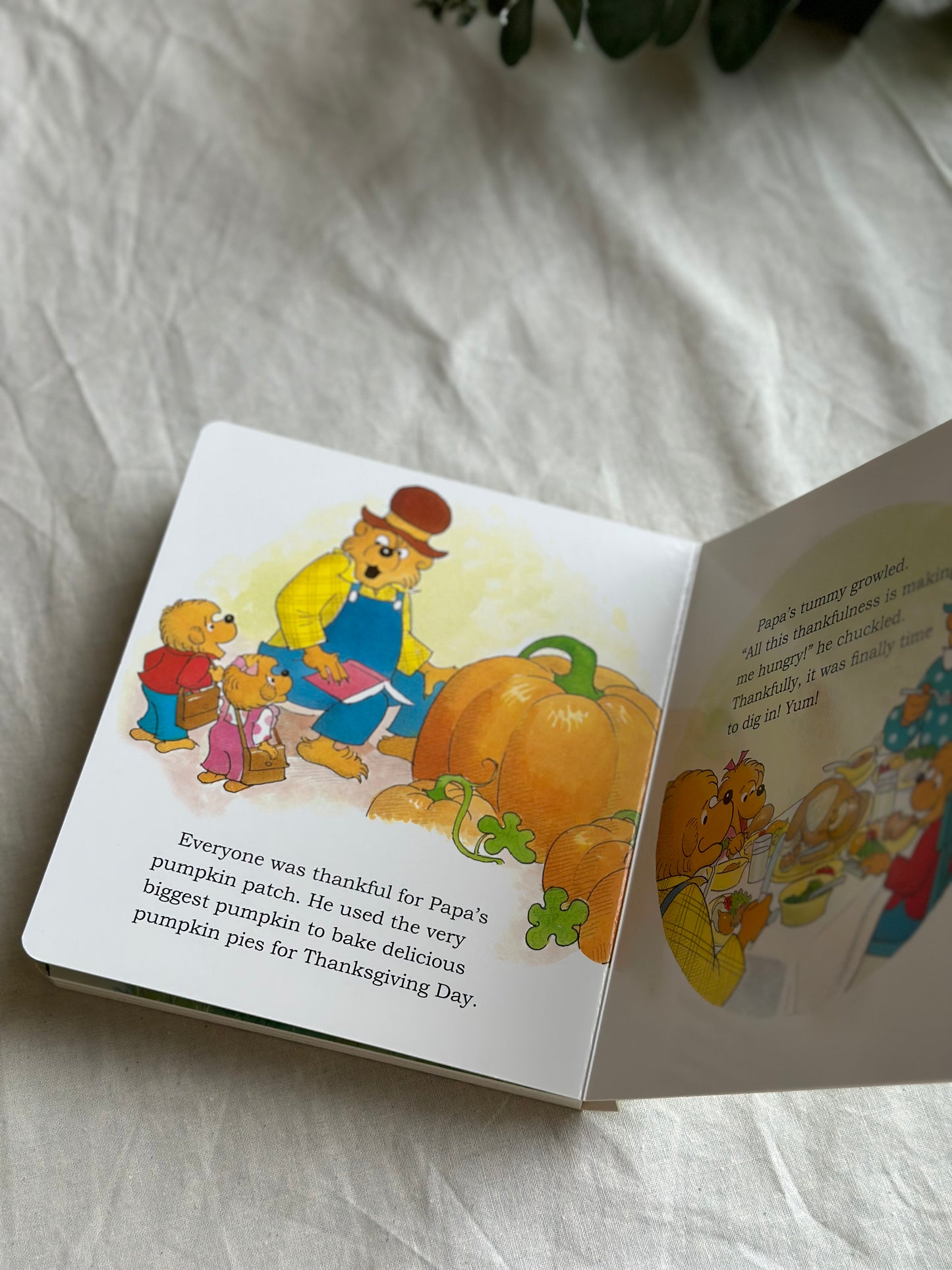 Thankful for Family (Berenstain Bears) [Book]