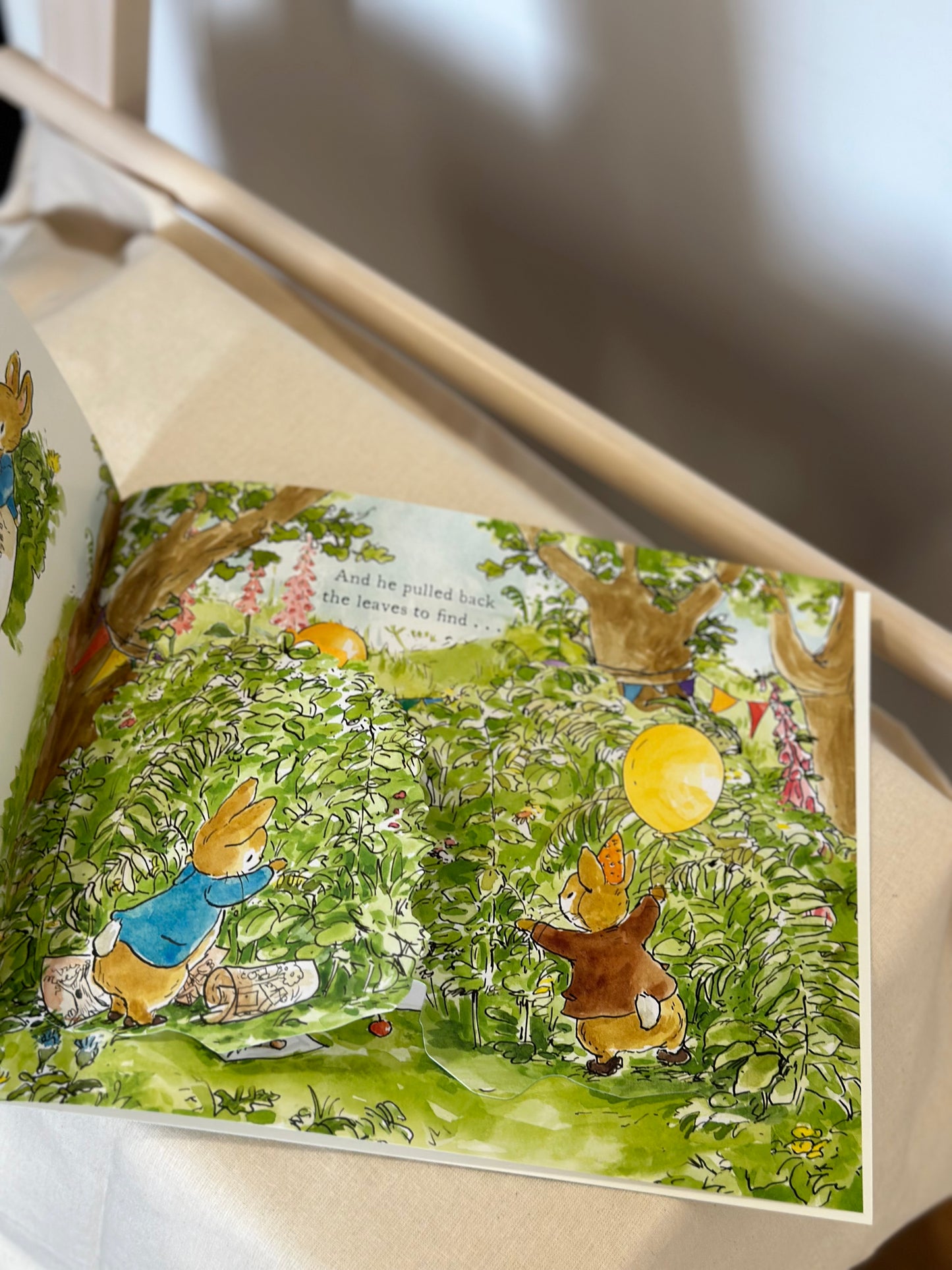 Peter Rabbit: The Birthday Present Hunt [Book]