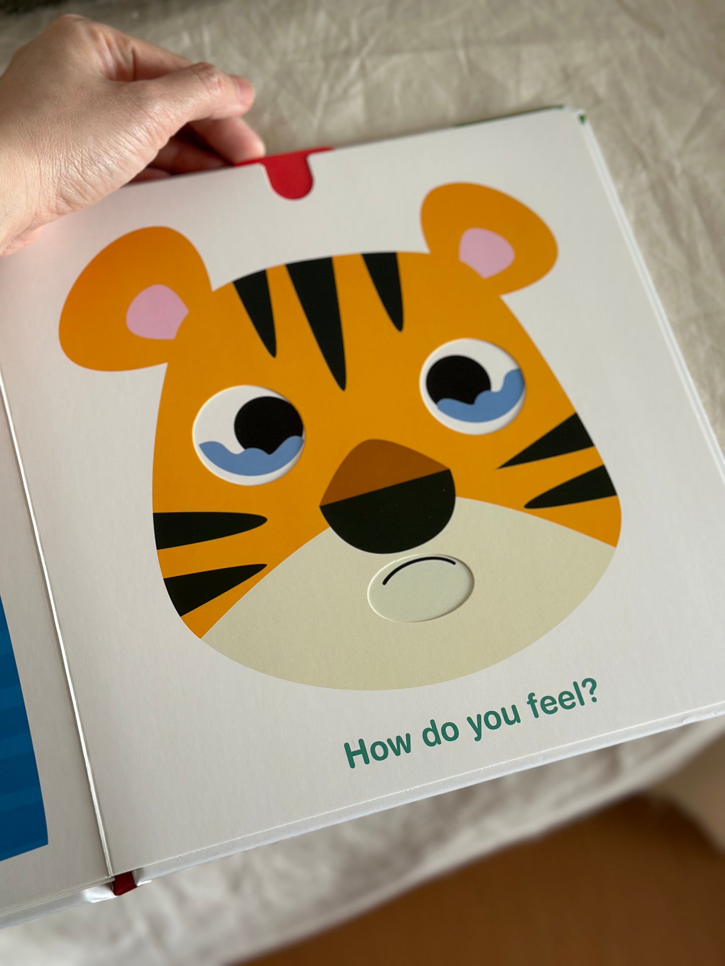 My Big Touch and Feel Book [Book]