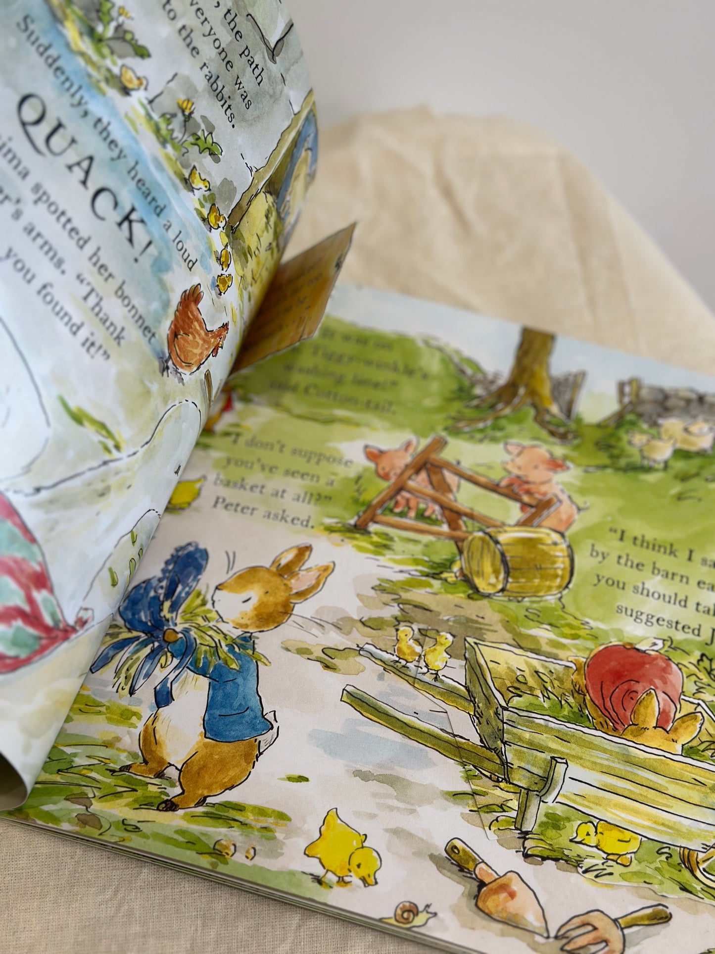 Peter Rabbit: The Great Outdoors Treasure Hunt [Book]