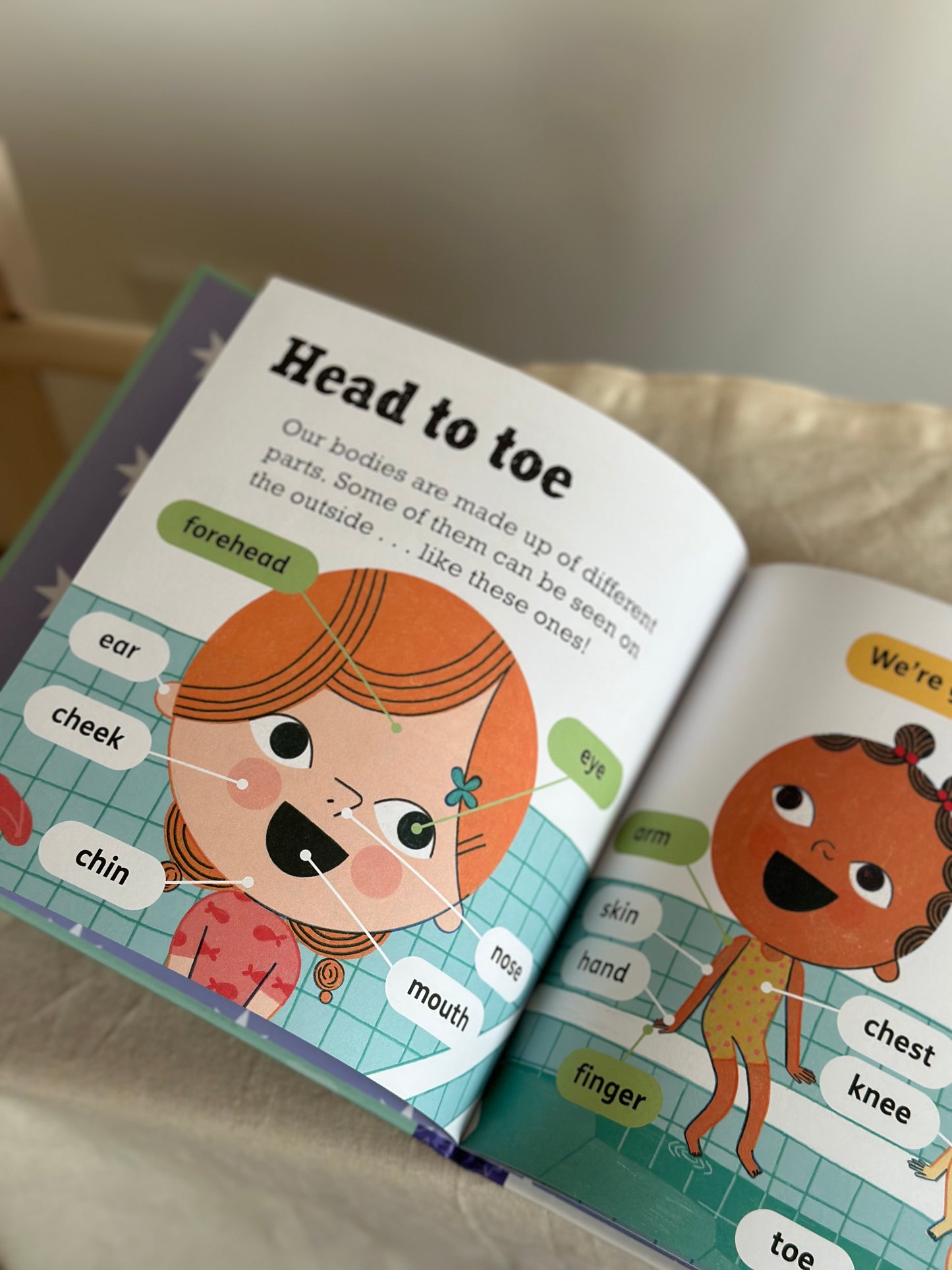 Science Words for Little People: Our Bodies [Book]