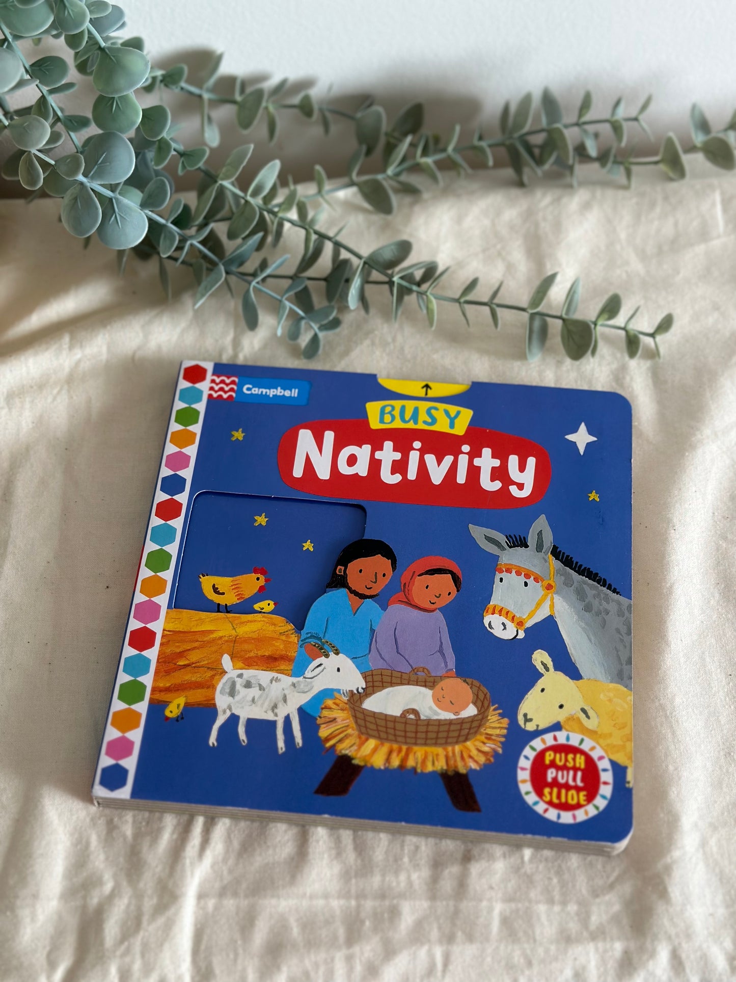Busy Nativity [Book]