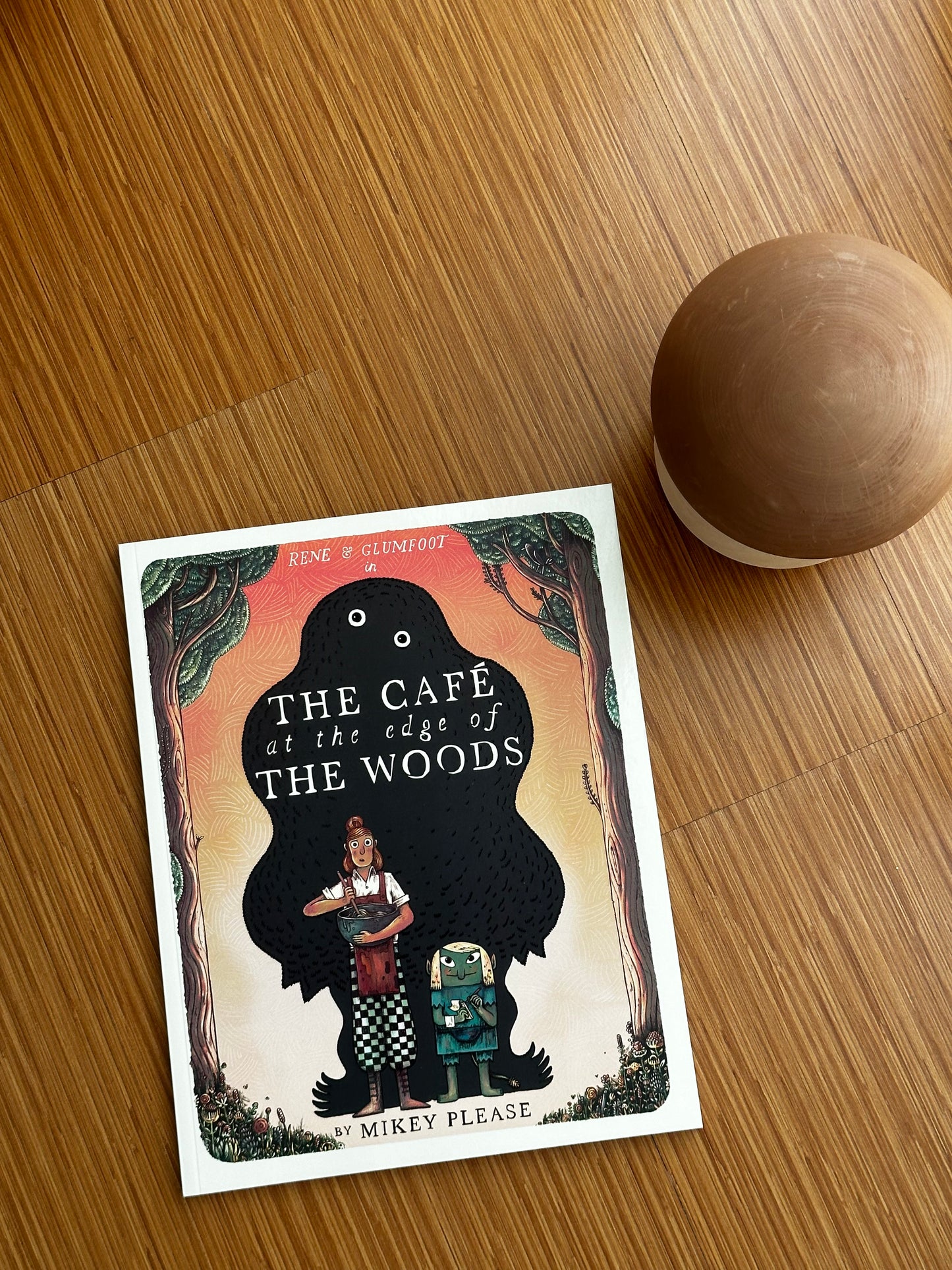 The Café at the Edge of the Woods [Book]