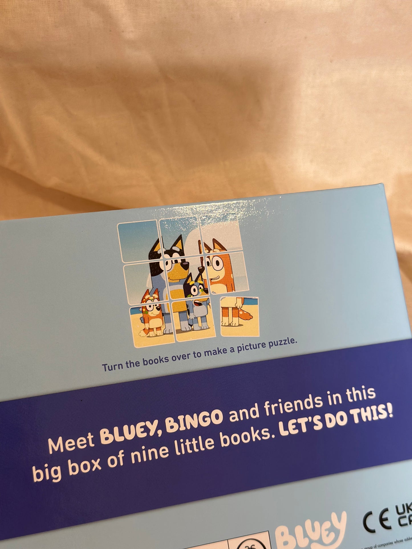 Bluey: Big Box of Little Books [Book]