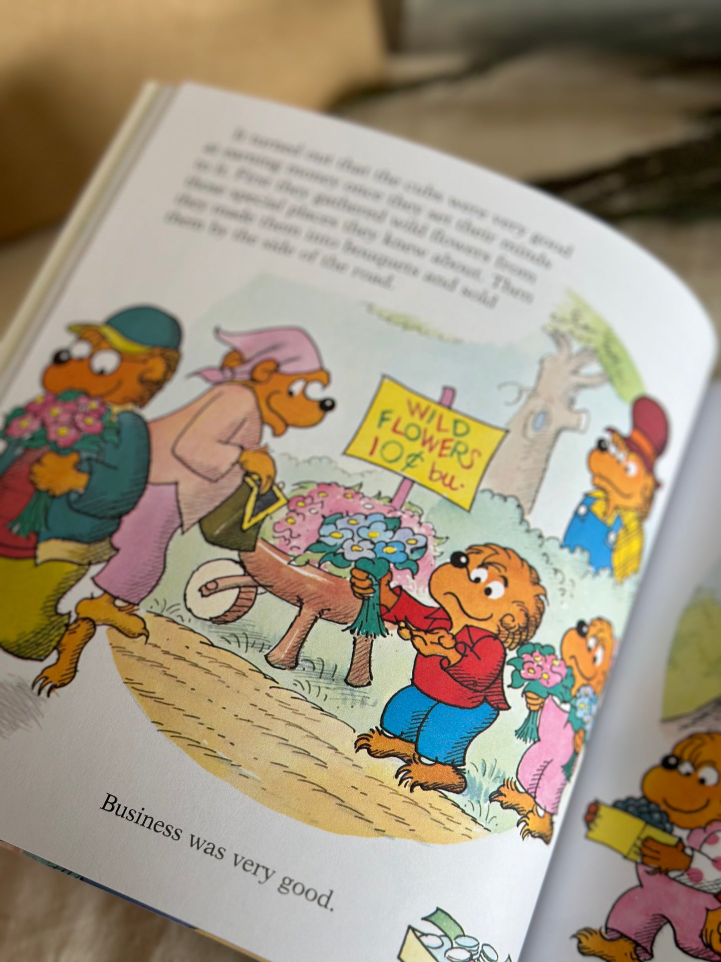 The Berenstain Bears: Let's Talk about Money. 2 Books in 1 [Book]