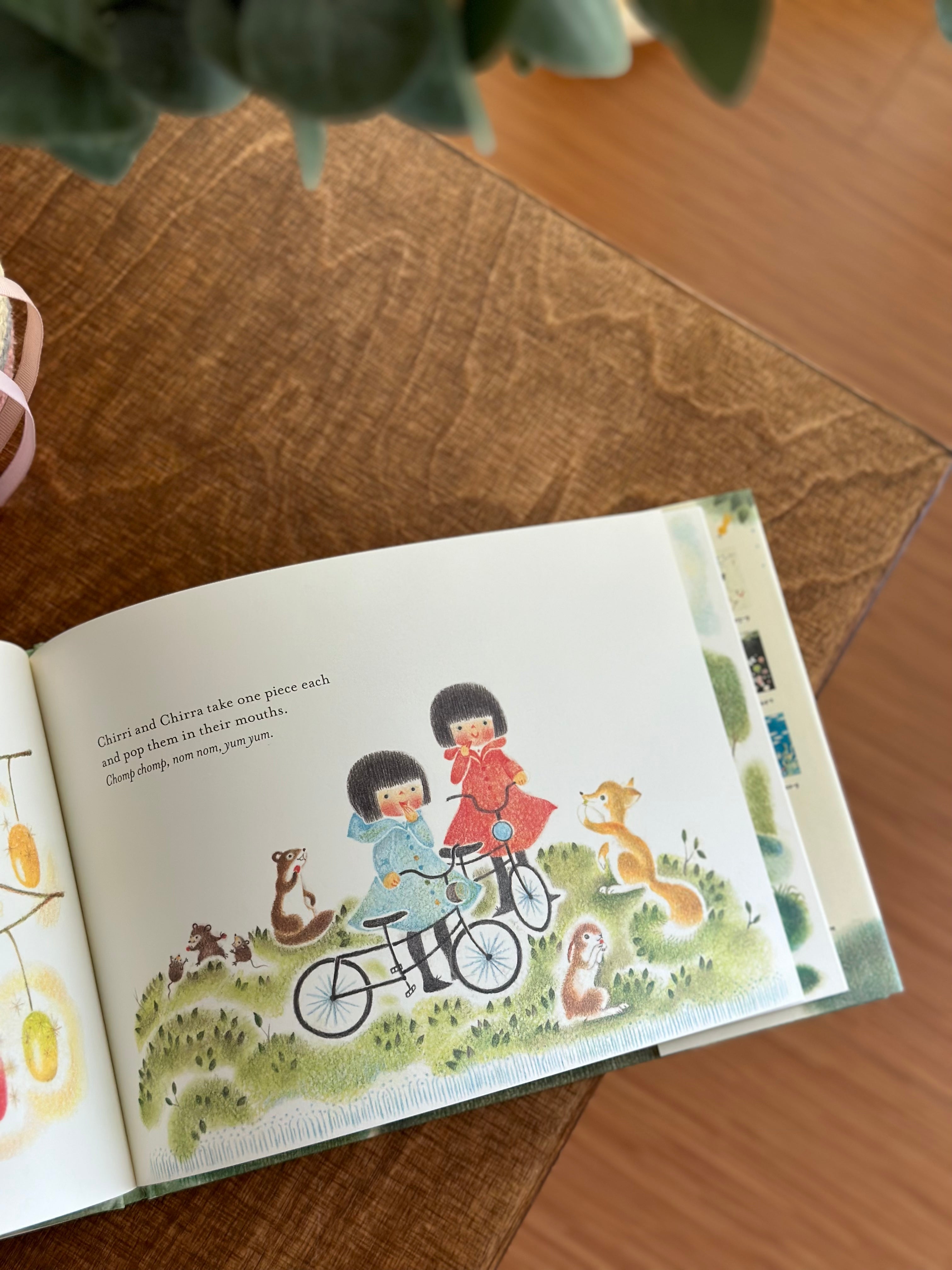 Chirri & Chirra Series, by Kaya Doi [Book]