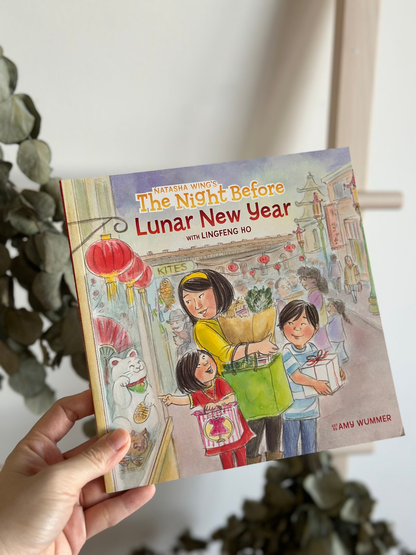 The Night Before Lunar New Year [Book]