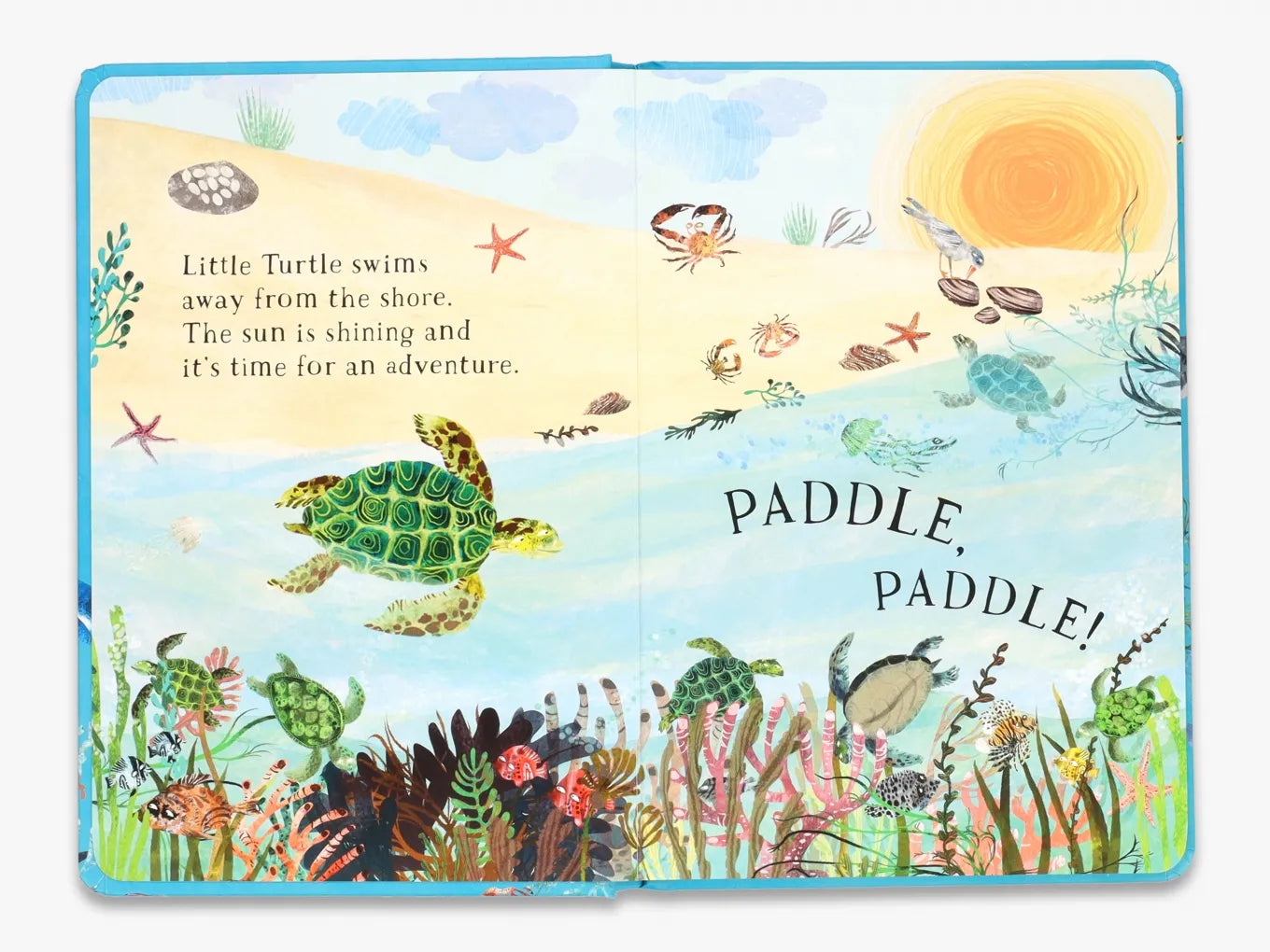 Little Turtle's Book of the Blue [Book]