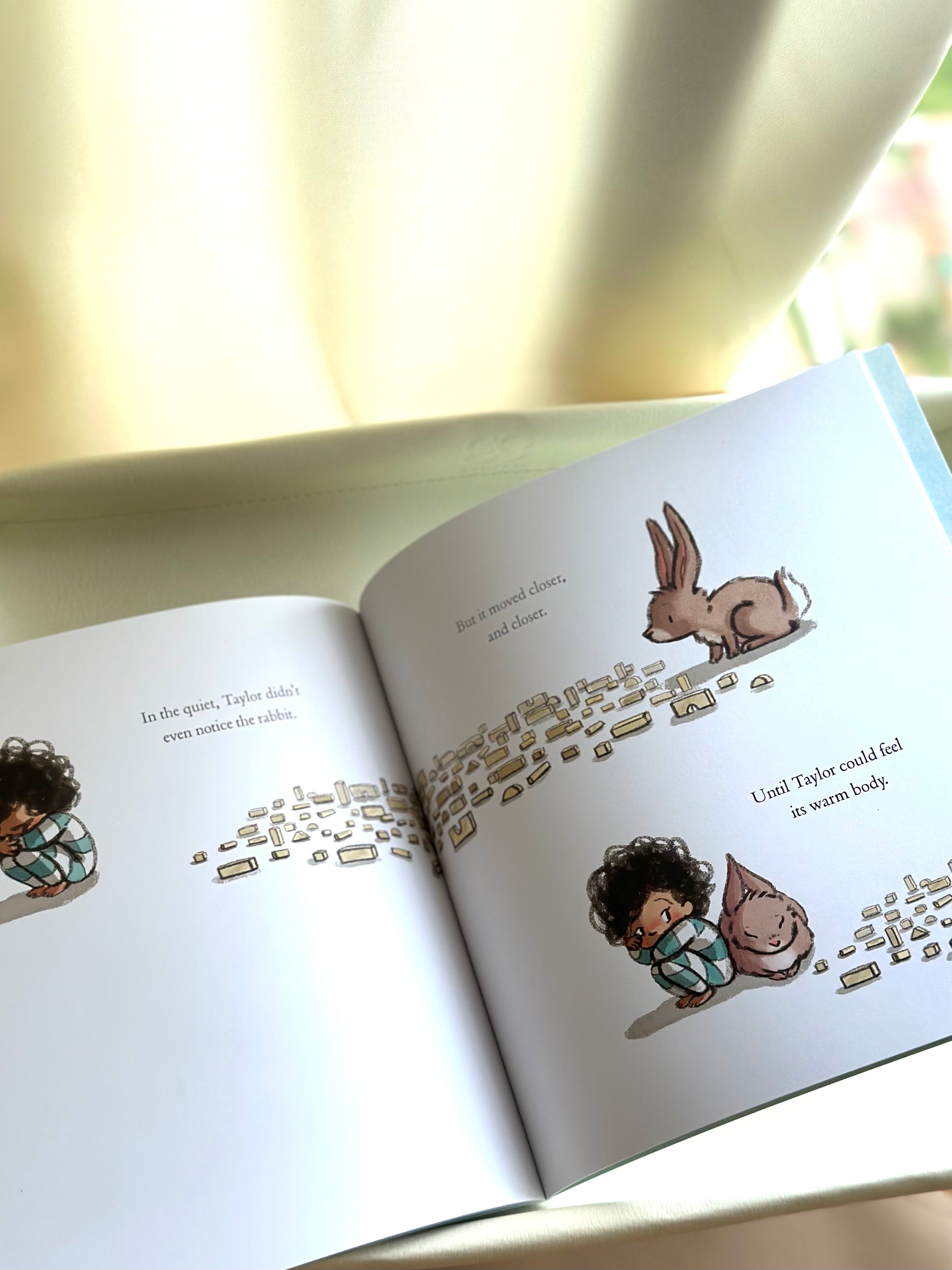 The Rabbit Listened [Book]