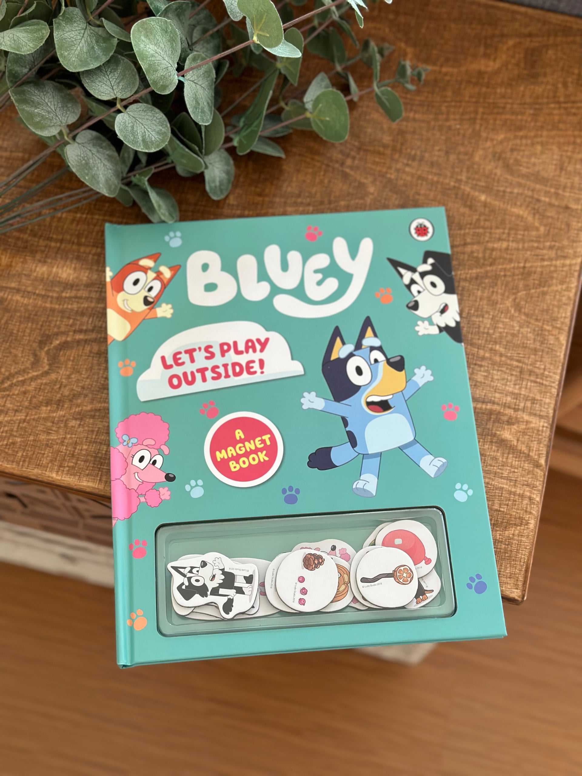 Bluey: Let's Play Outside! A Magnet Book – Clap Clap Hands
