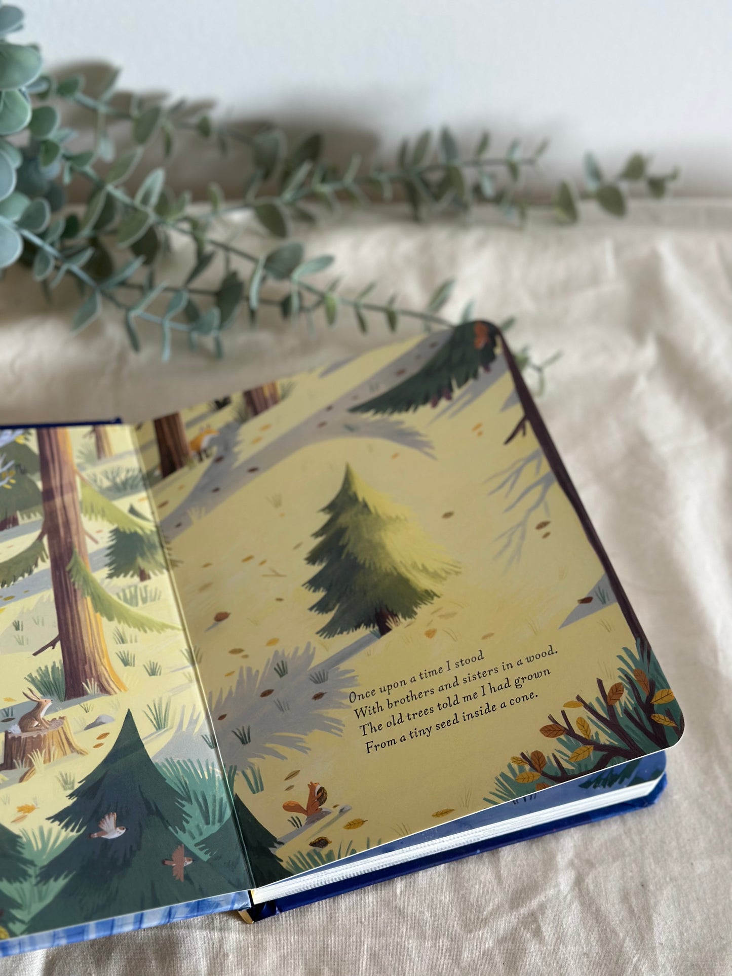 The Christmas Pine [Book]