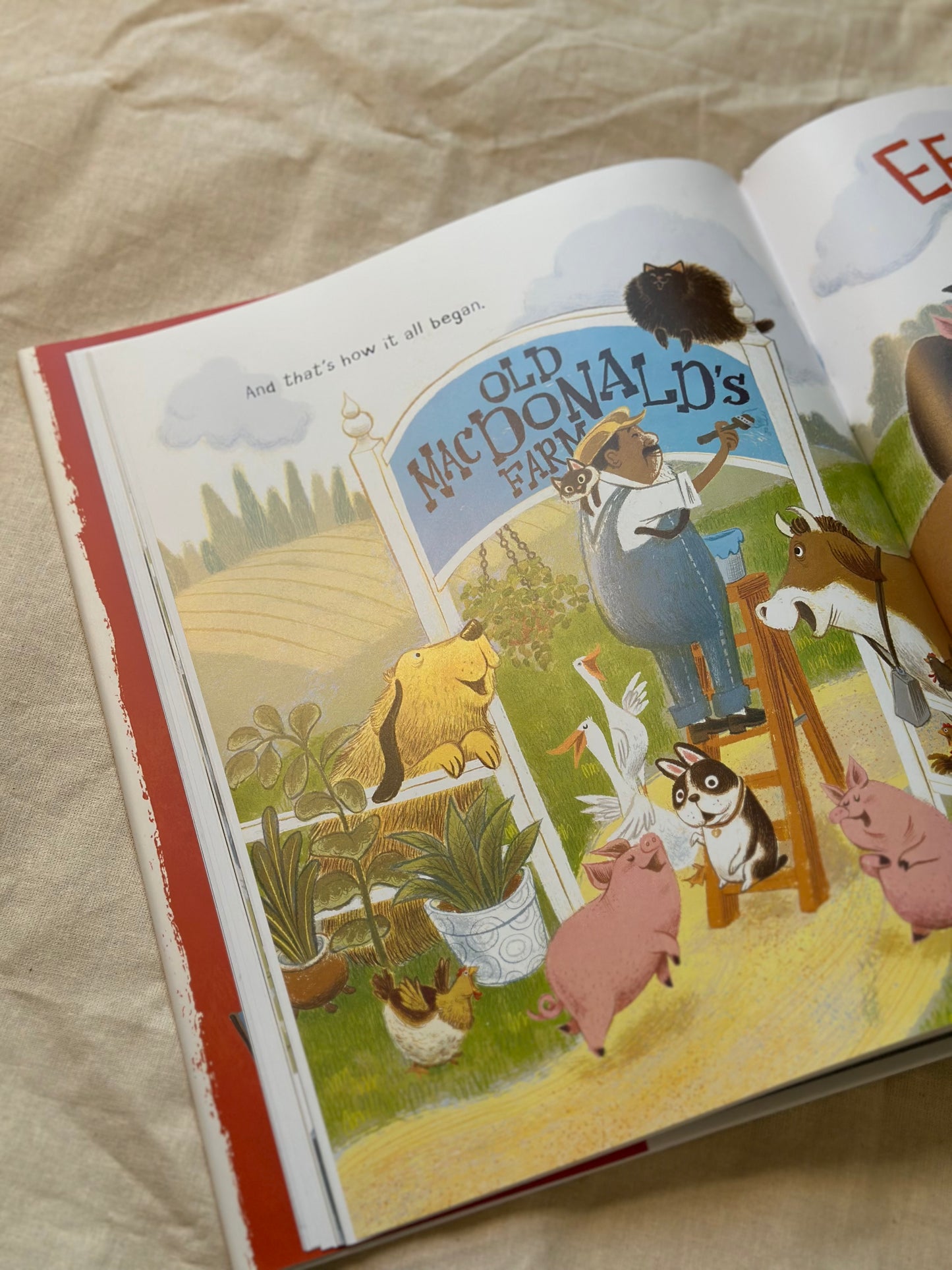 The Man Who Didn't Like Animals [Book]