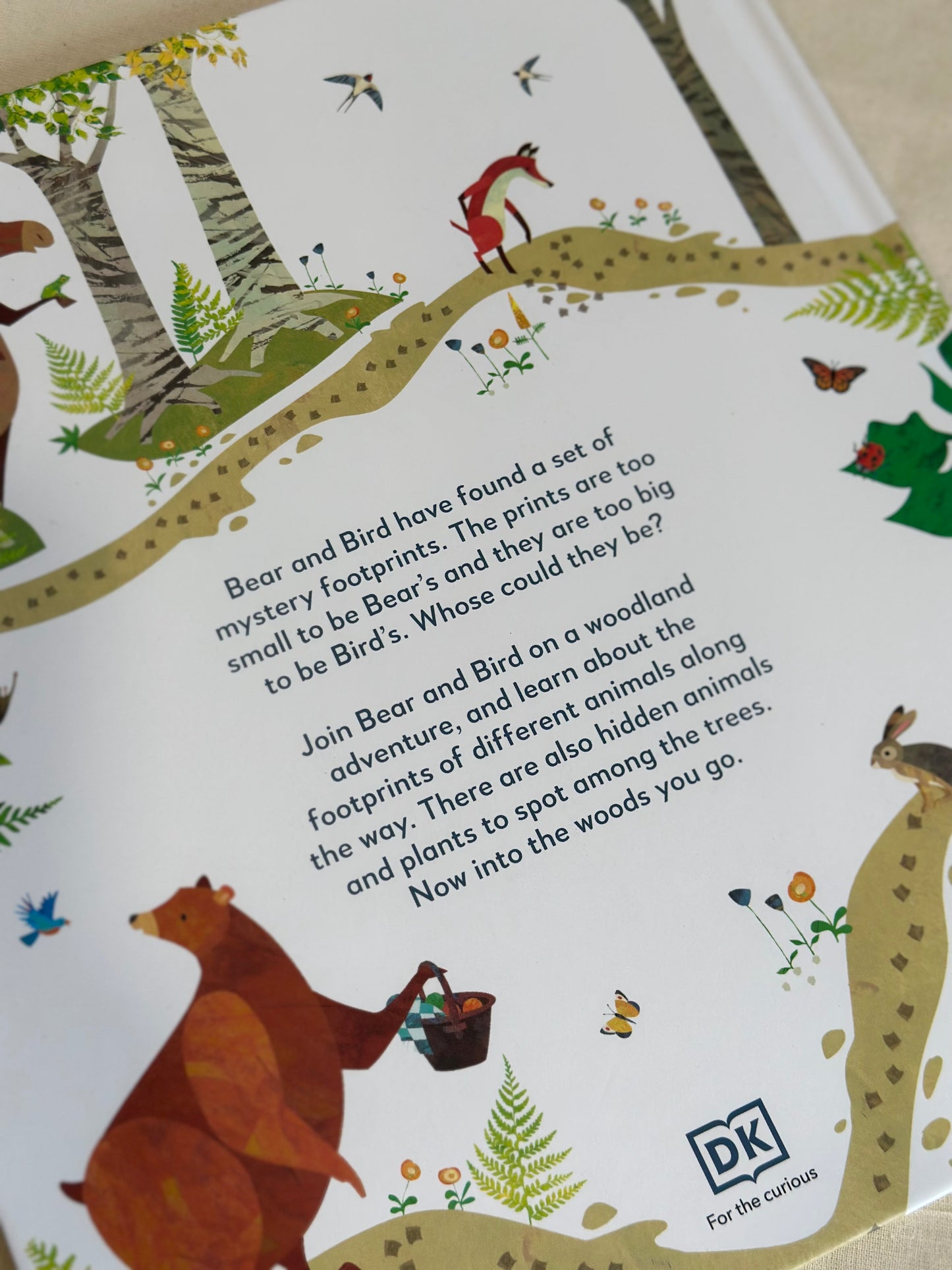 Jonny Lambert’s Bear and Bird: Find a Footprint: A Woodland Search and Find Adventure