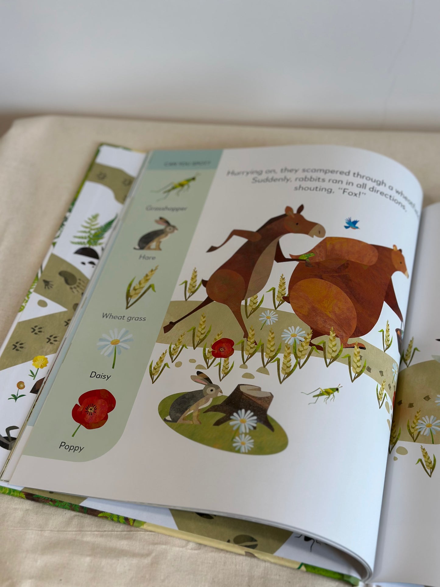 Jonny Lambert’s Bear and Bird: Find a Footprint: A Woodland Search and Find Adventure