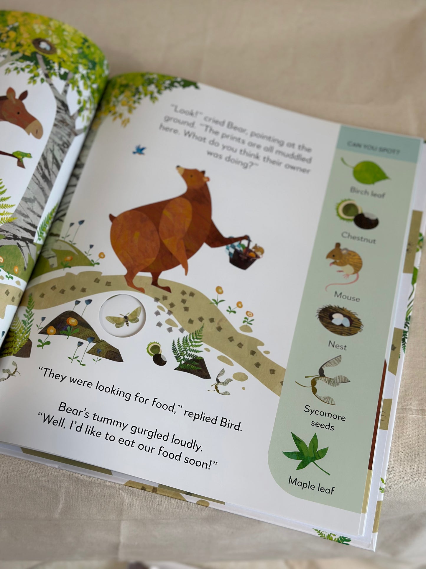 Jonny Lambert’s Bear and Bird: Find a Footprint: A Woodland Search and Find Adventure