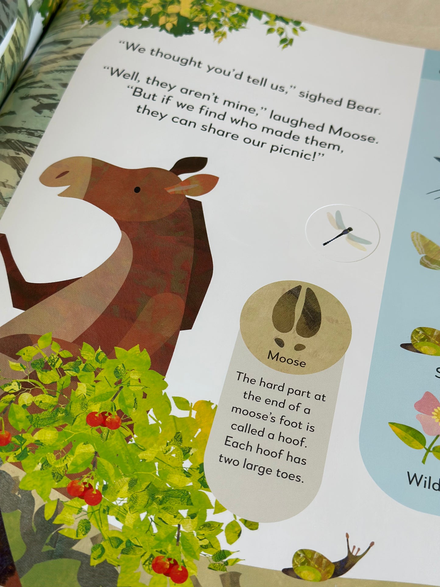 Jonny Lambert’s Bear and Bird: Find a Footprint: A Woodland Search and Find Adventure