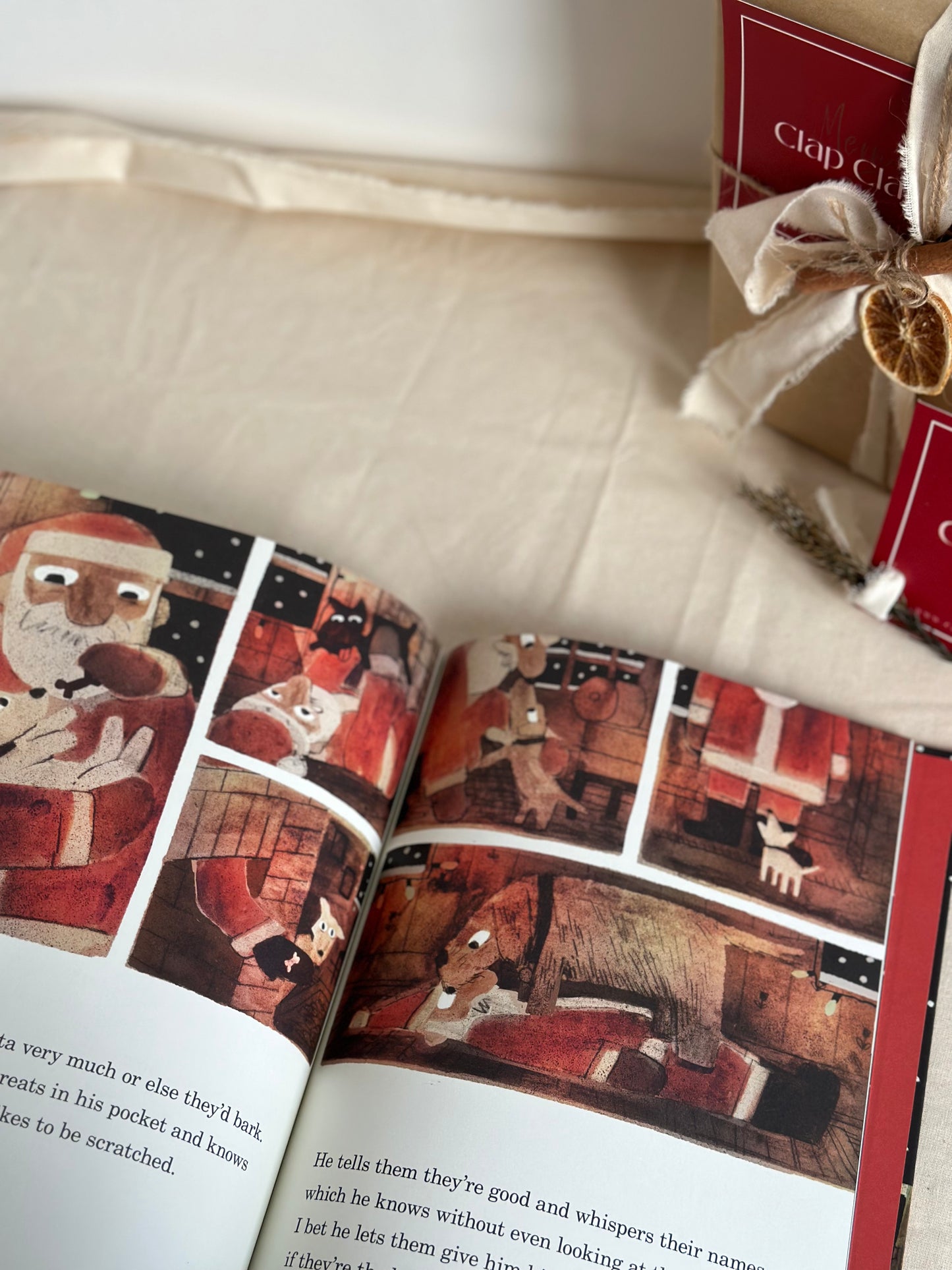 How Does Santa Go Down the Chimney? [Book]