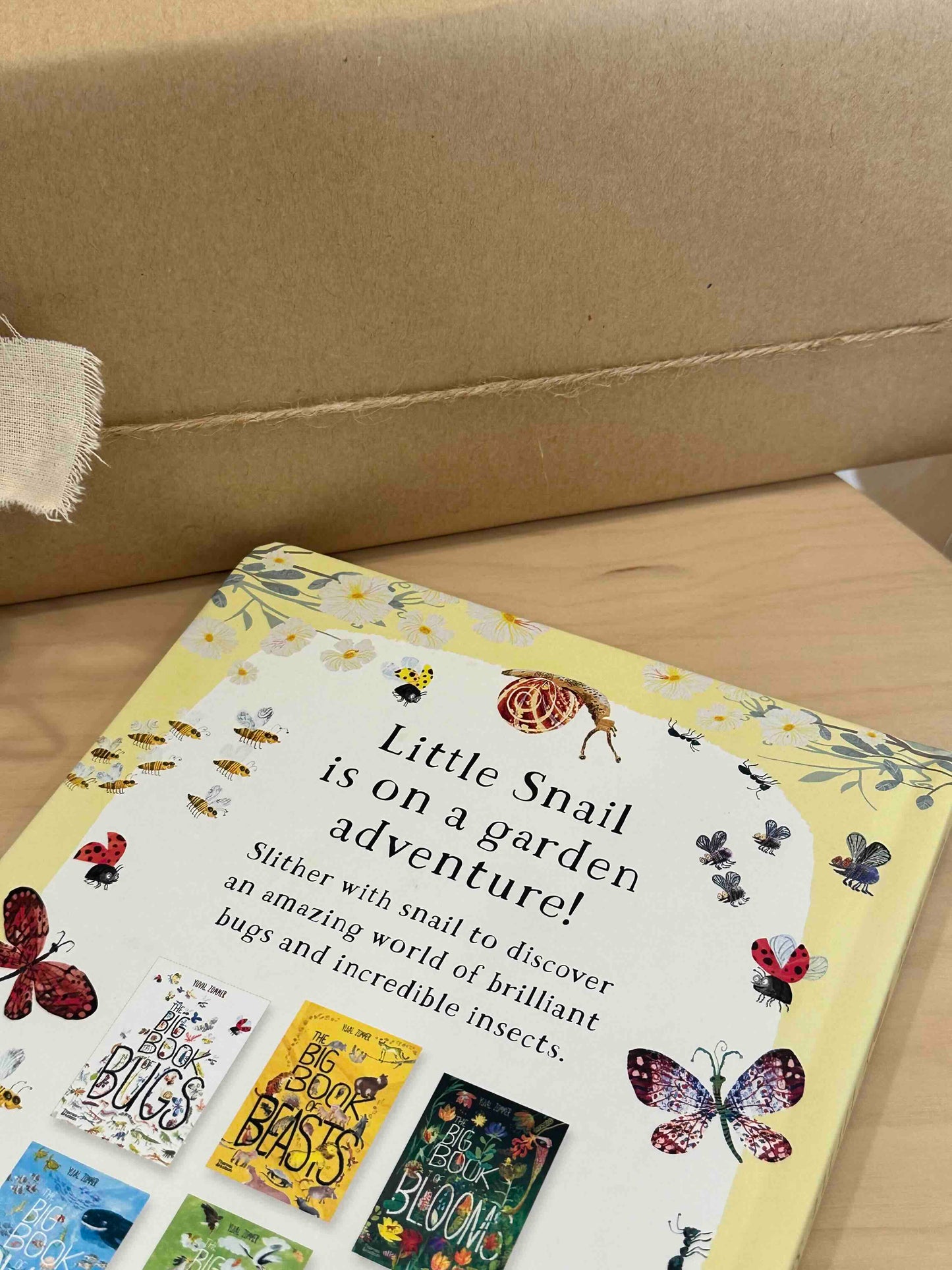 Little Snail's Book of Bugs [Book]