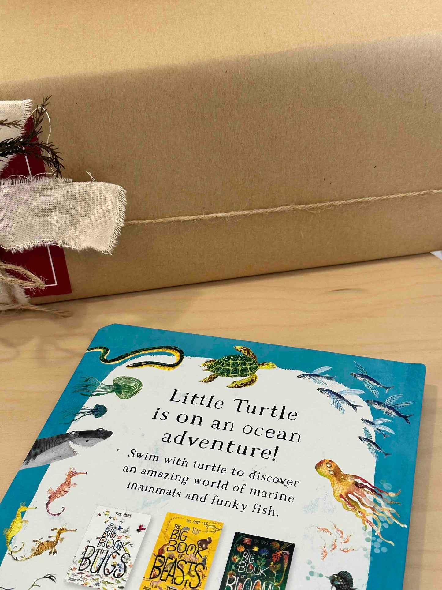 Little Turtle's Book of the Blue [Book]