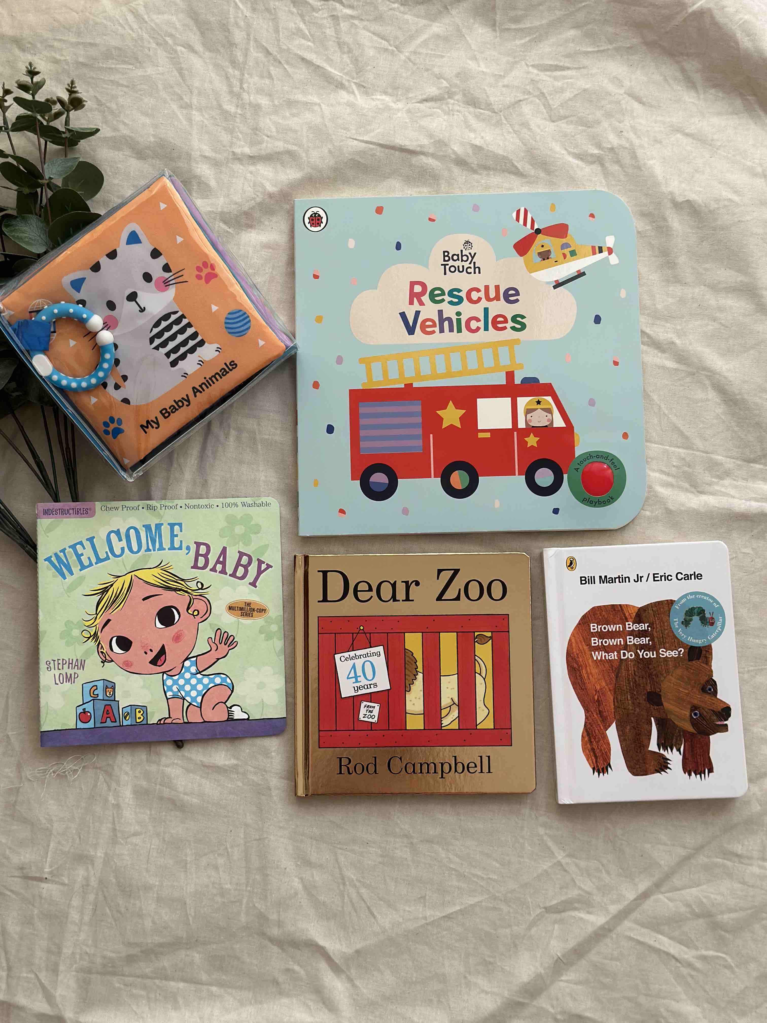 Books for The Little One (Newborn)