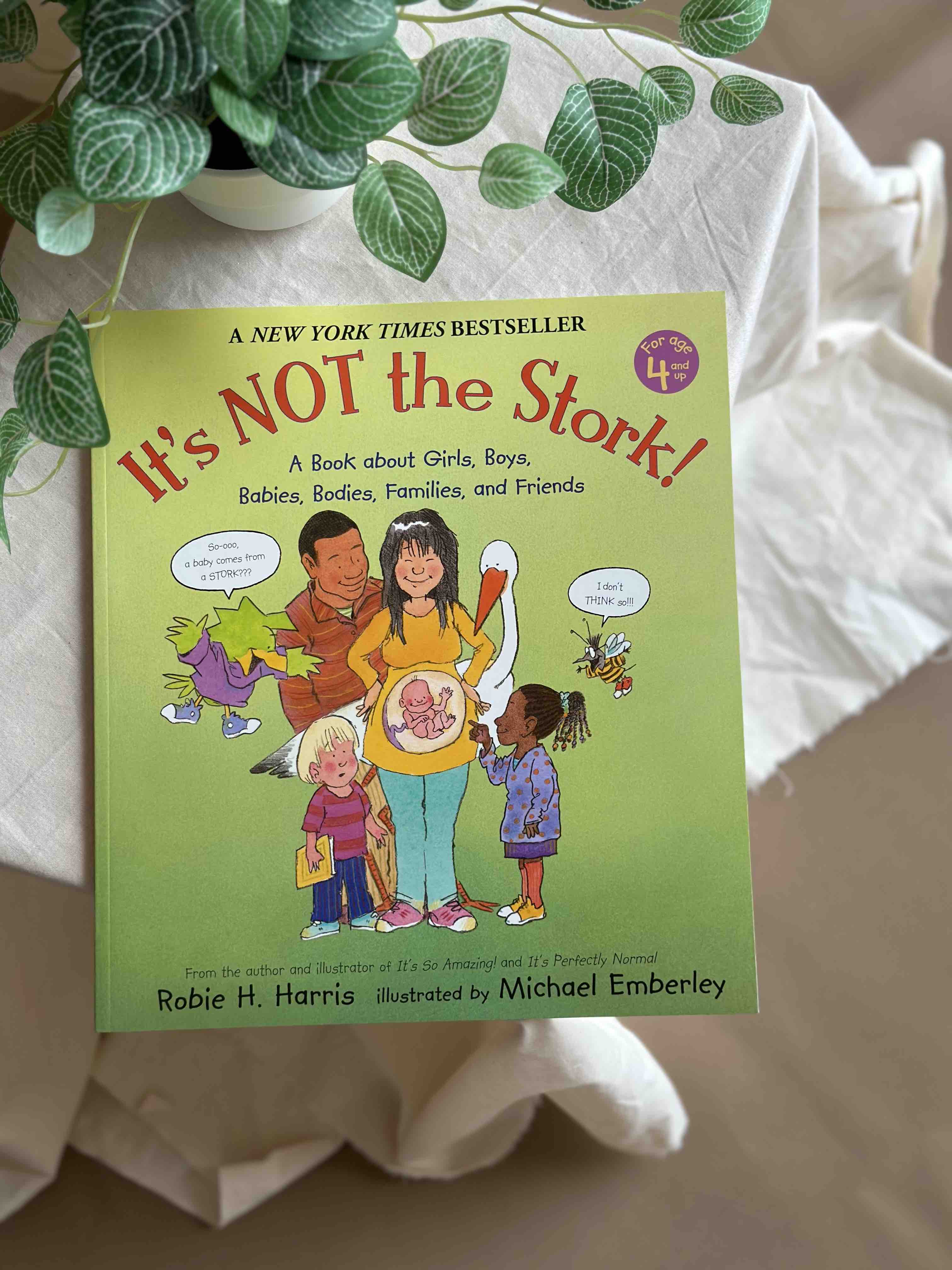 It's Not the Stork! : A Book about Girls, Boys, Babies, Bodies, Families and Friends [Book]