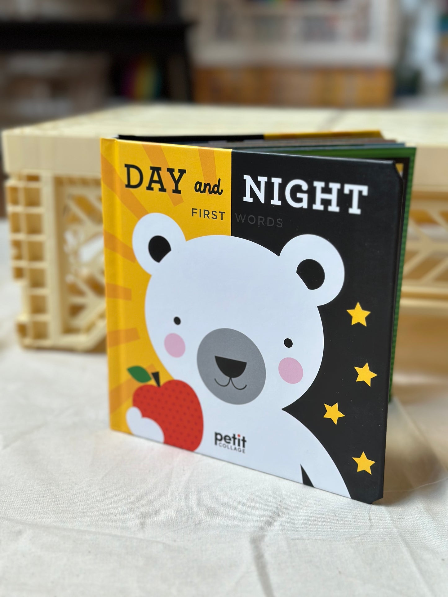 Day and Night First Words Book