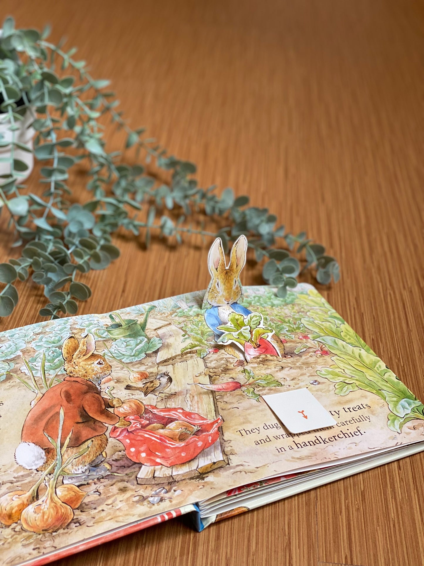 Peter Rabbit: Peter's Picnic A Pull-Tab and Play Book