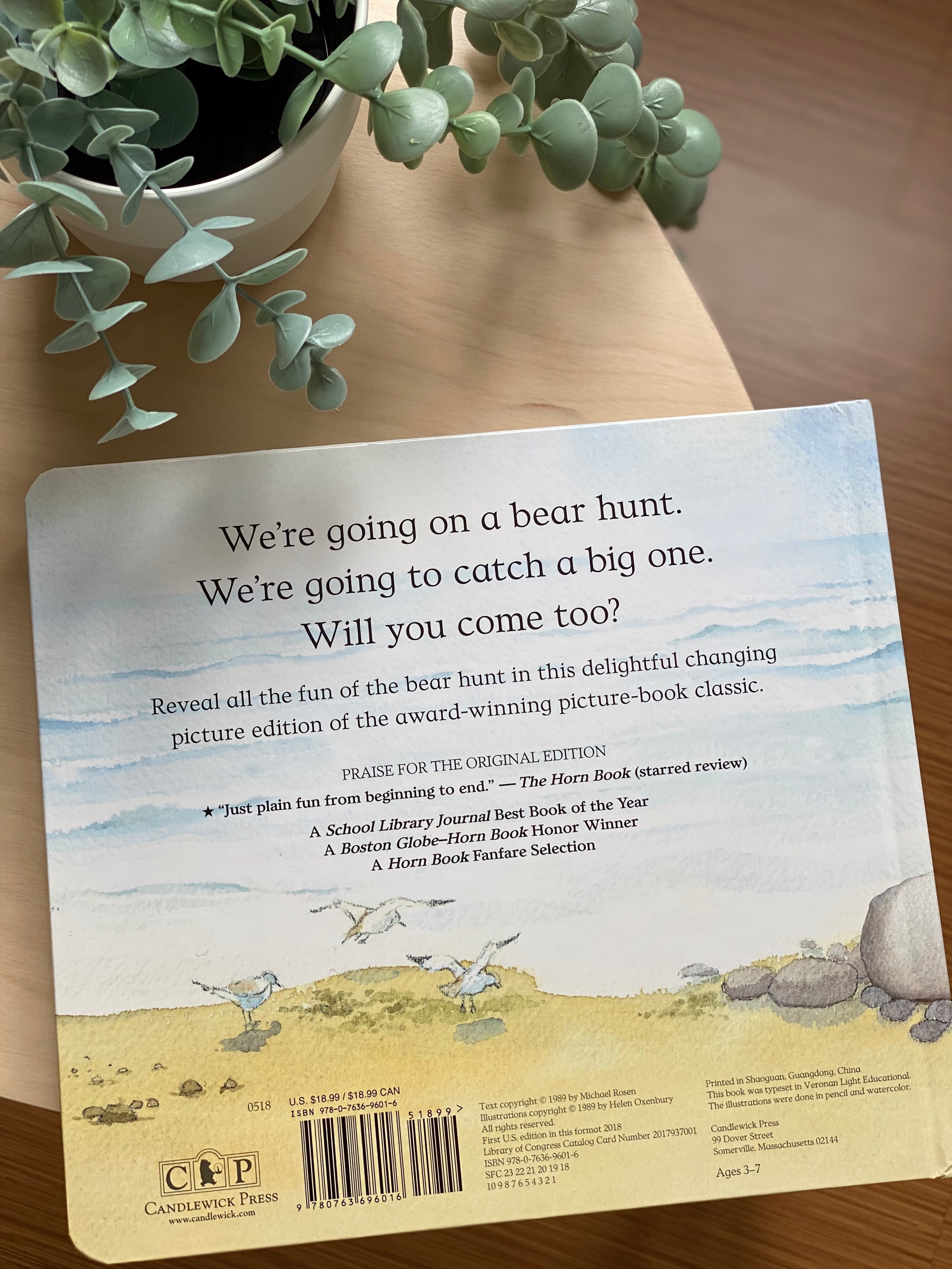 We're Going on a Bear Hunt Changing Picture Book