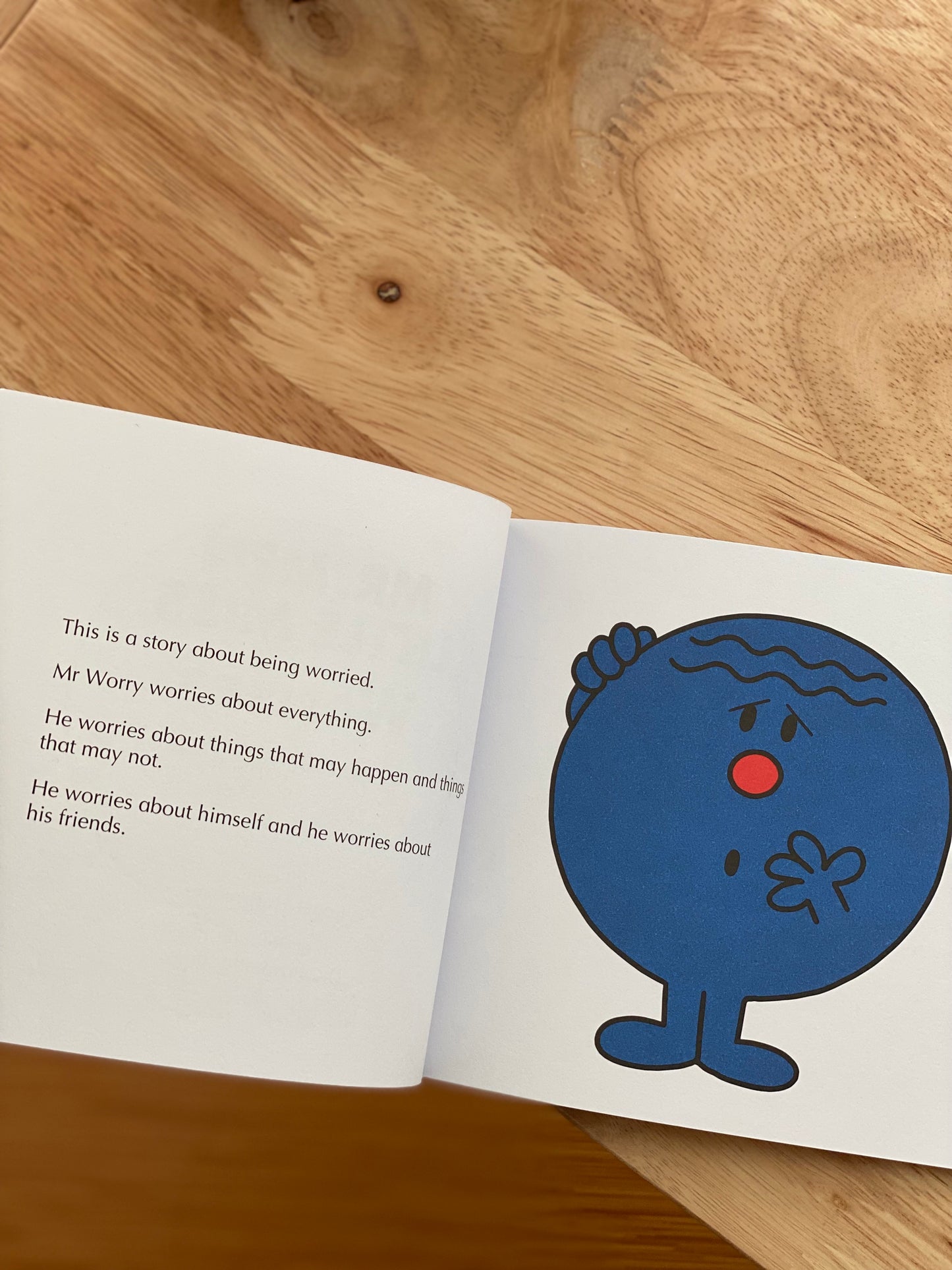 Mr. Men and Little Miss Discover You Series