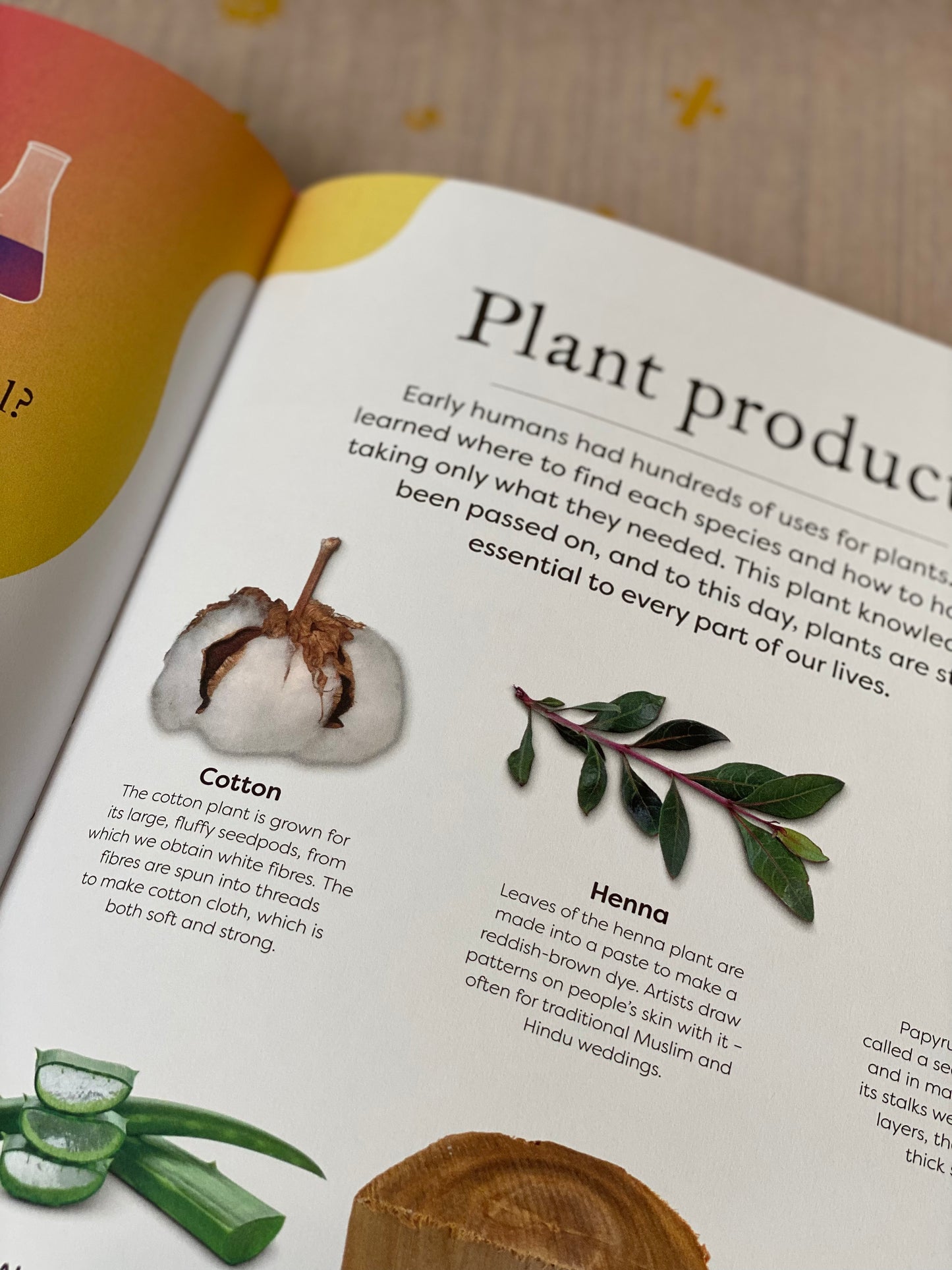 The Secret World of Plants