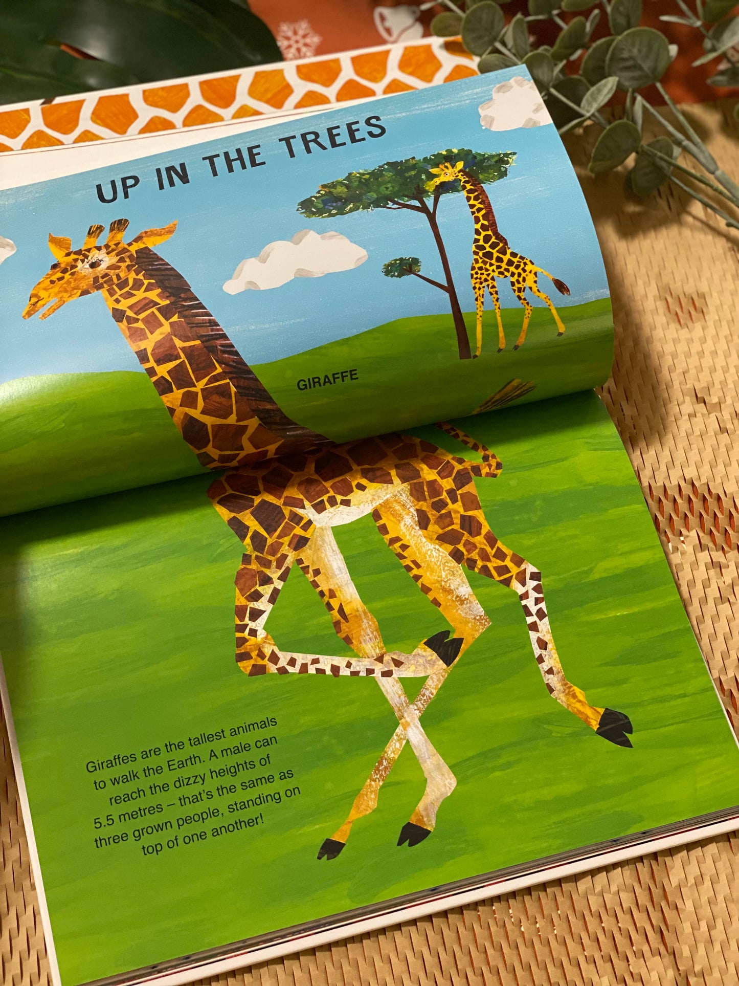 Eric Carle's Book of Amazing Animals