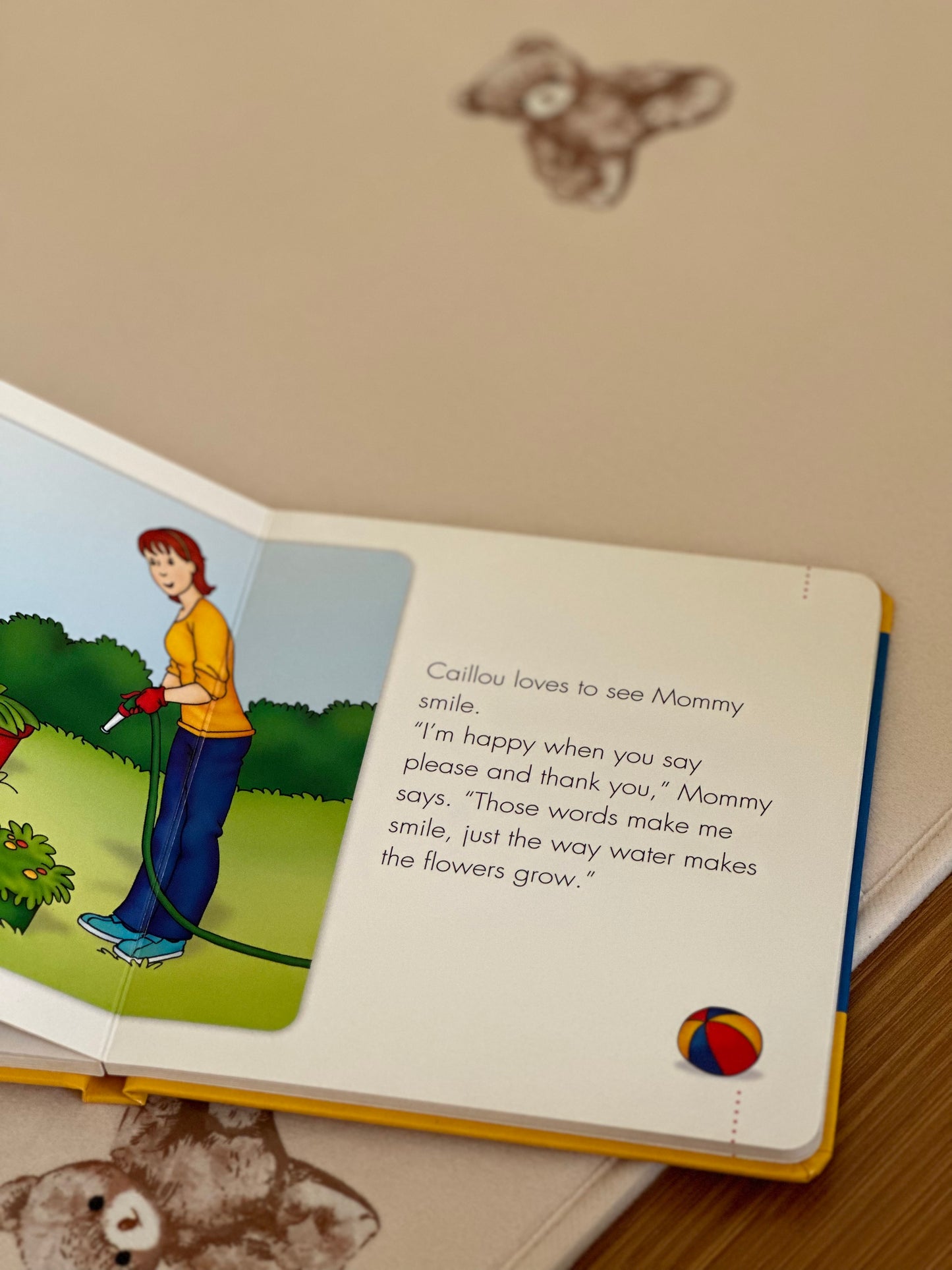 Caillou Series [Book]