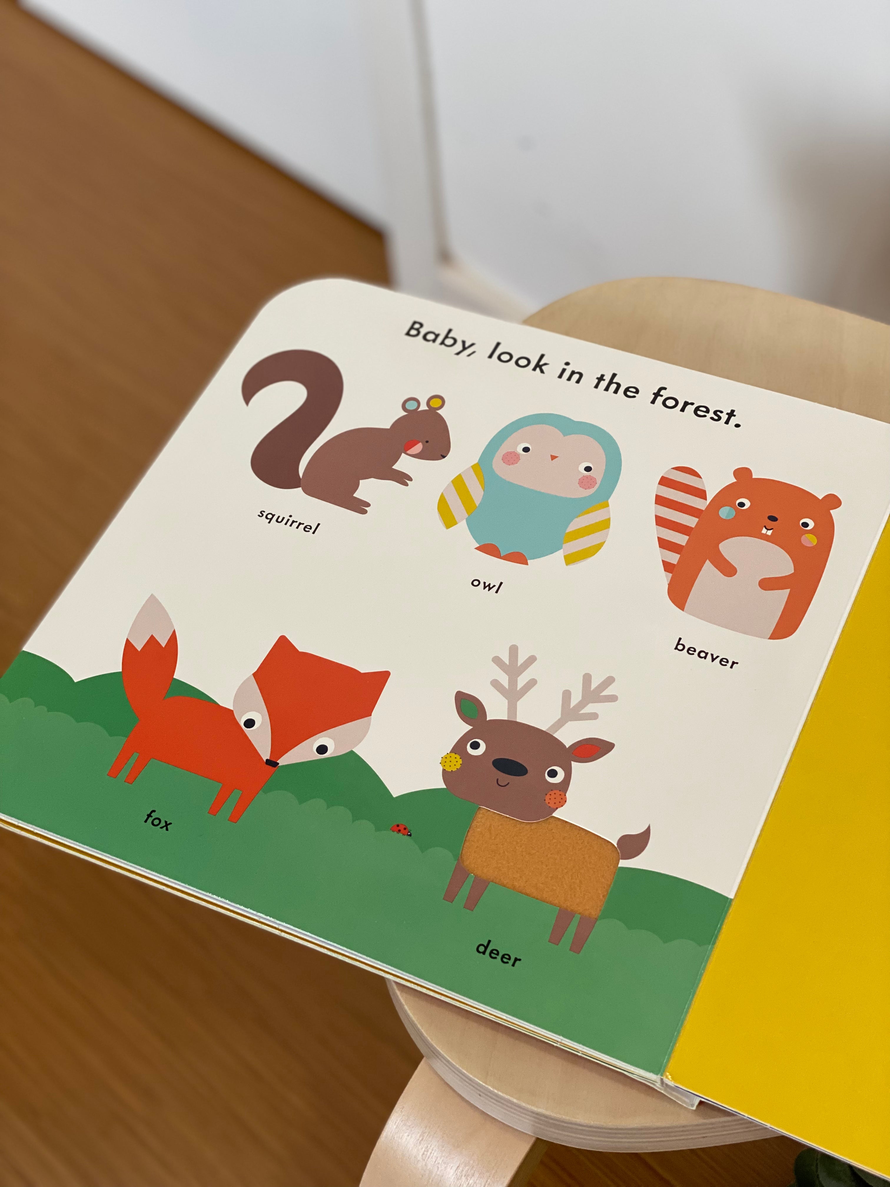 Baby Touch: Hide and Seek