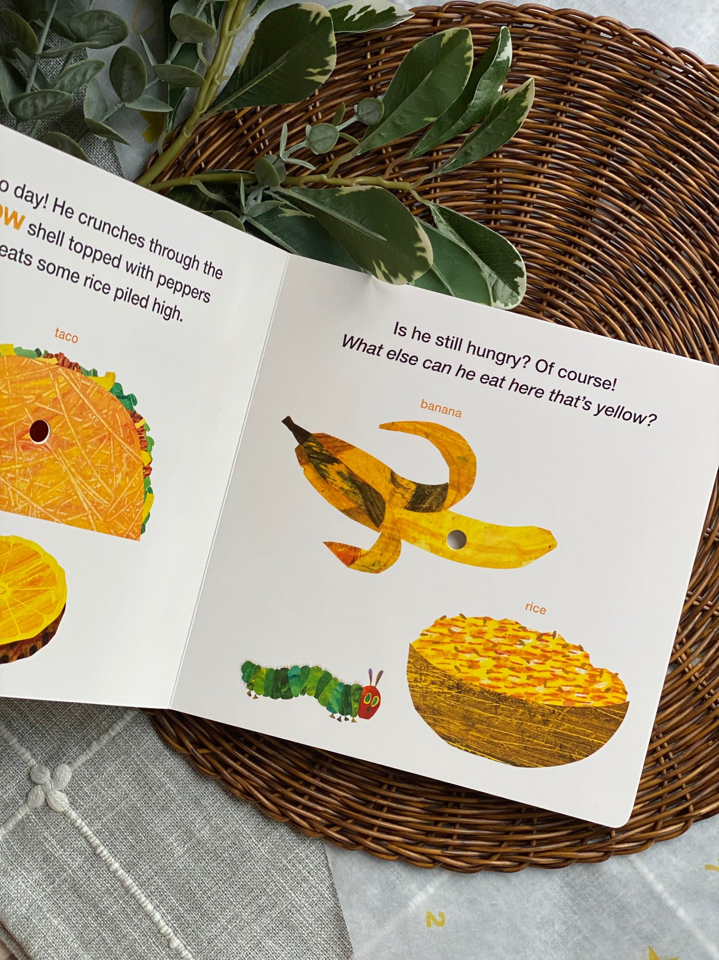 The Very Hungry Caterpillar EATS LUNCH a COLORS book