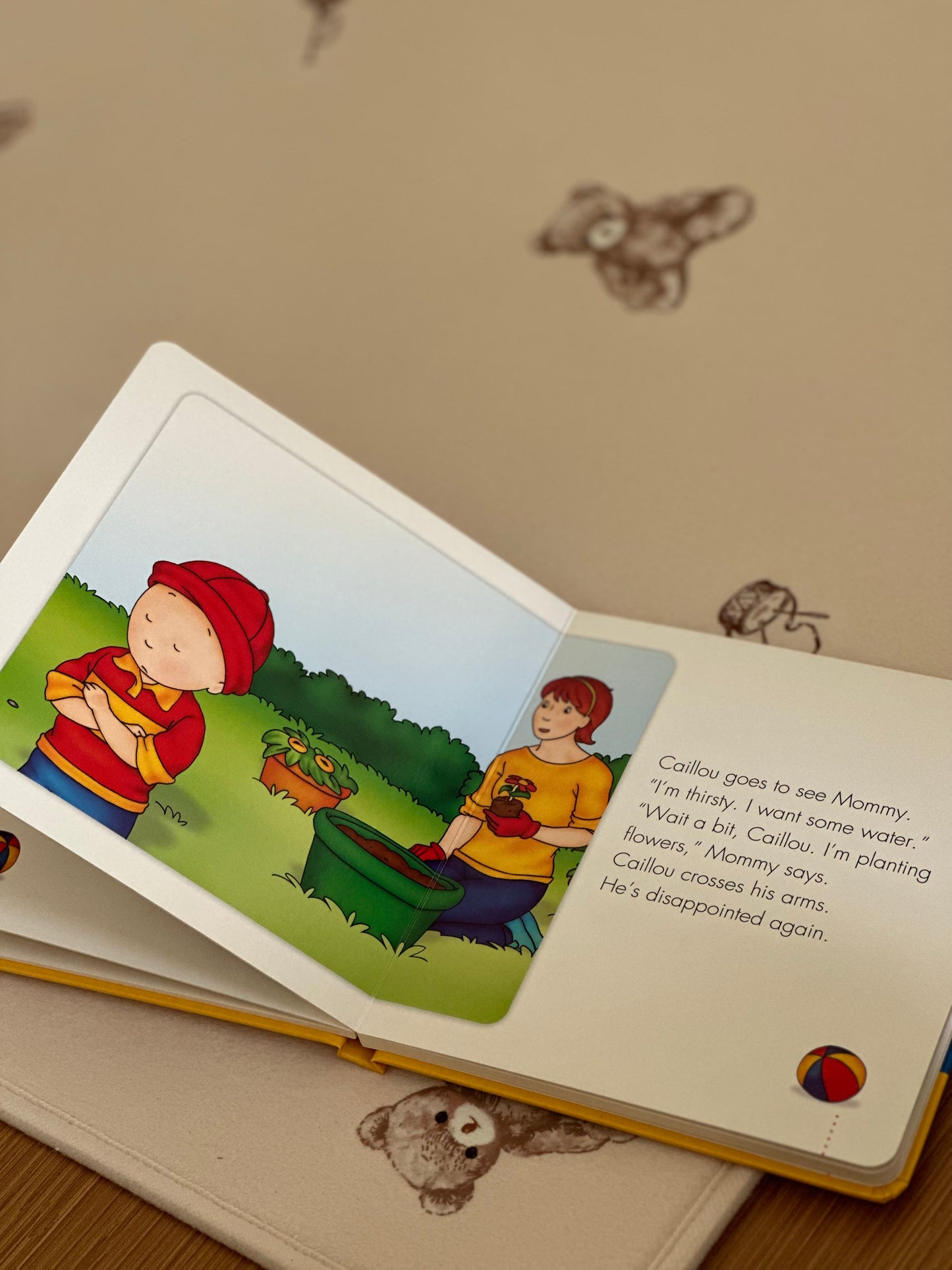 Caillou Series [Book]