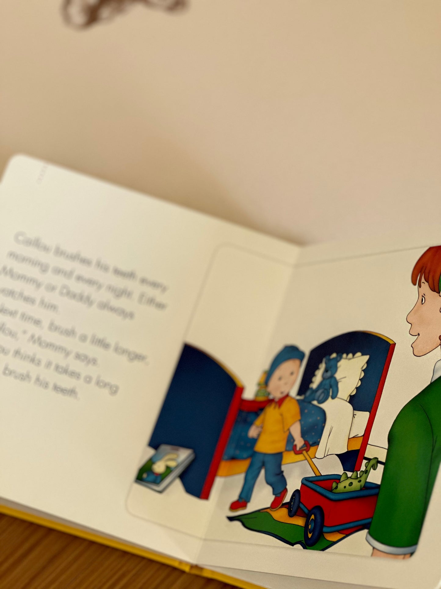 Caillou Series [Book]