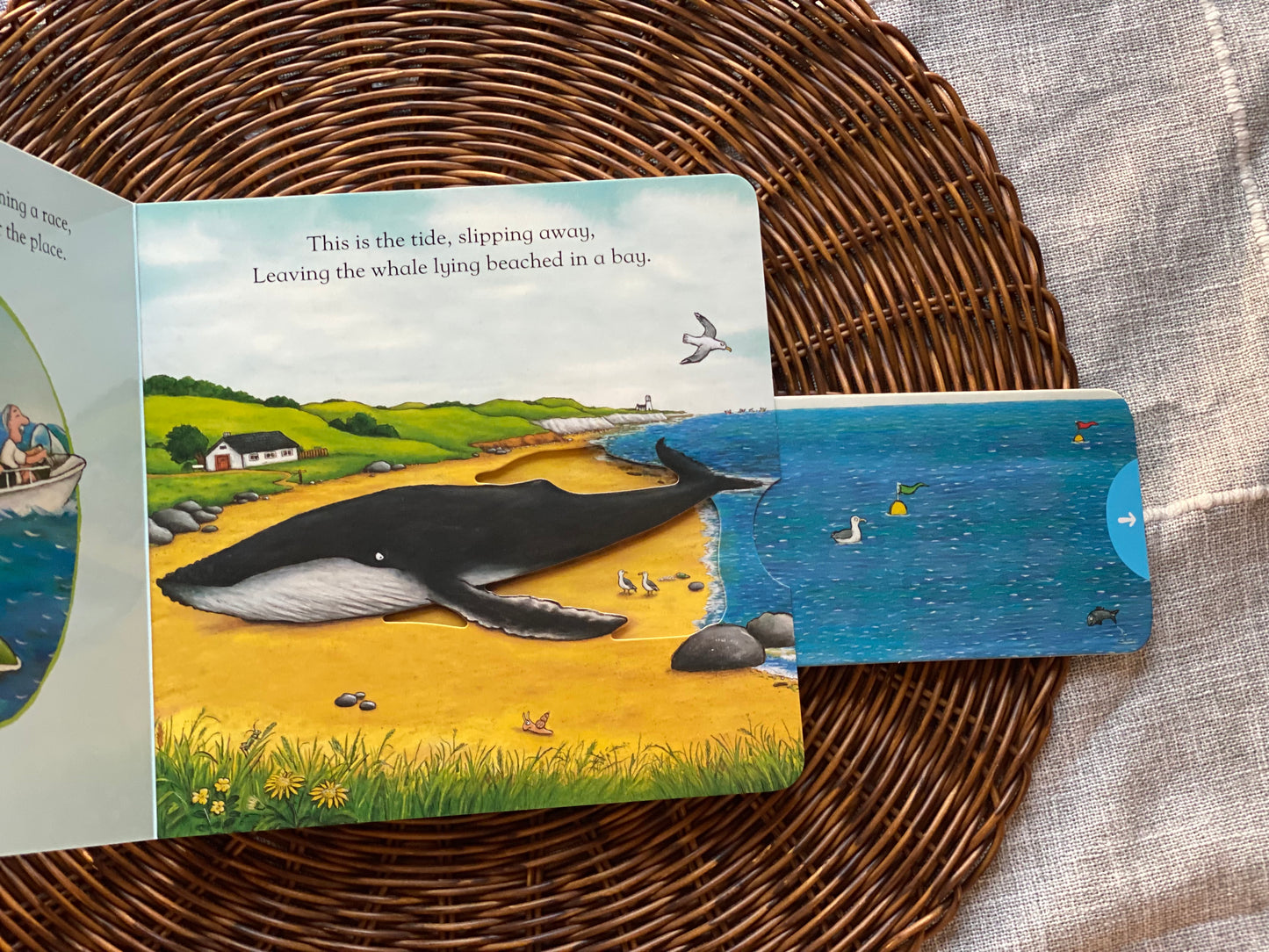 The Snail and the Whale: A Push, Pull and Slide Book