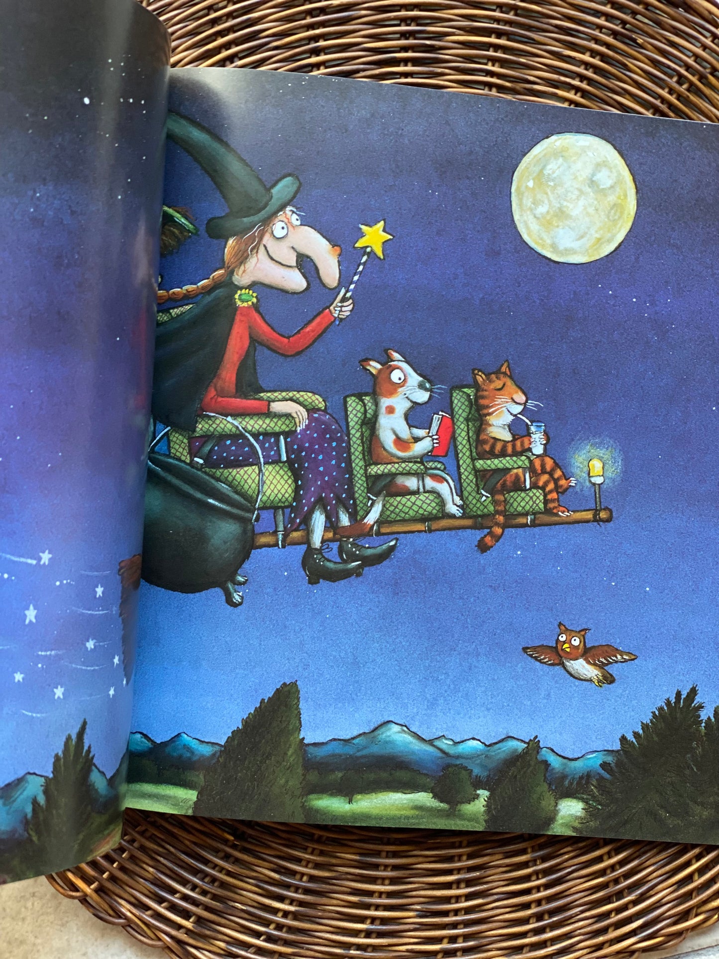 Room on the Broom [Book]